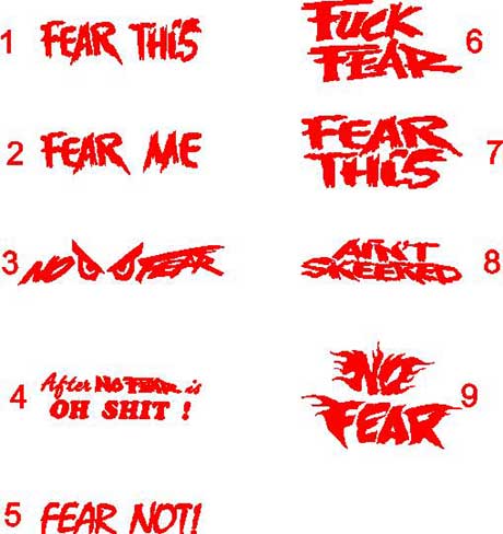 Fear this, Fear me, What Fear, Aint Skeered No Fear decal decals